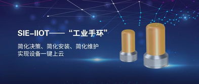 賽意信息攜工業(yè)互聯(lián)網(wǎng)示范線亮相工業(yè)互聯(lián)網(wǎng)峰會(huì)，以數(shù)字化力量助推中國(guó)智造升級(jí)轉(zhuǎn)型